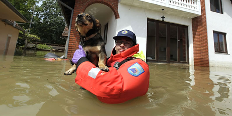 Flooding in Bosnia and Serbia